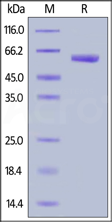 VS3-H5258-sds