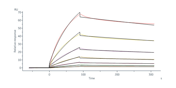  Apolipoprotein E SPR