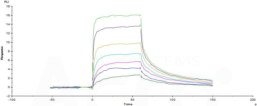  CD3E & CD3D SPR