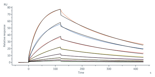  CD3E & CD3D SPR