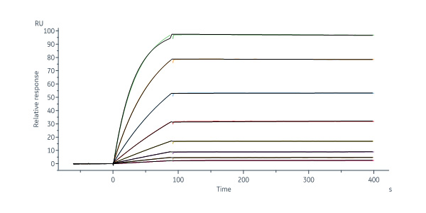  Coagulation factor XI SPR