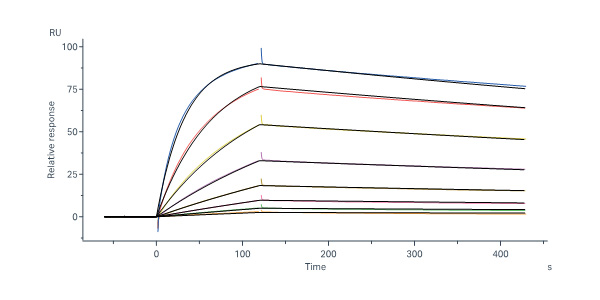  Glycoprotein E/gE (VZV) SPR