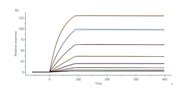  Hemagglutinin/HA (Influenza Virus) SPR