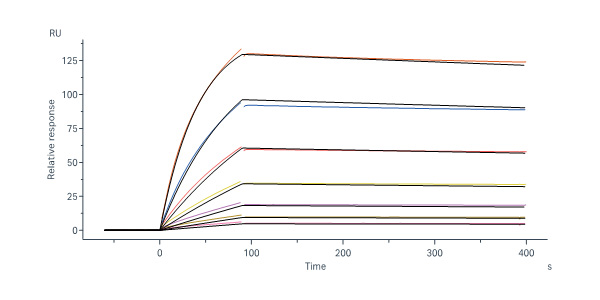  Hemagglutinin/HA (Influenza Virus) SPR