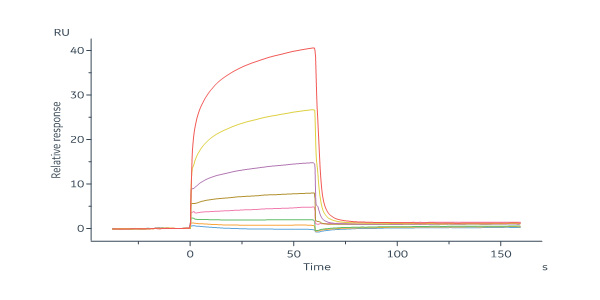  Hemagglutinin-neuraminidase/HN (MuV) SPR