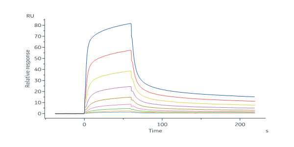  Mucin-1 SPR