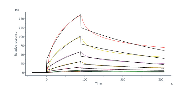  Neuraminidase/NA (Influenza Virus) SPR