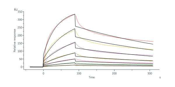  Neuraminidase/NA (Influenza Virus) SPR