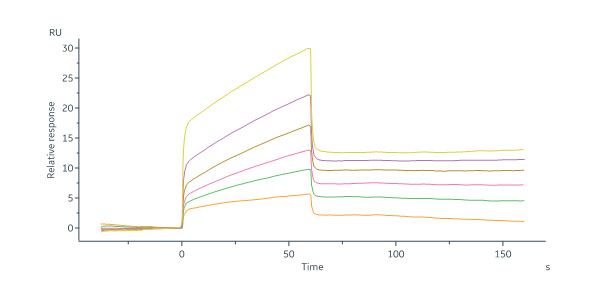  Neuraminidase/NA (Influenza Virus) SPR