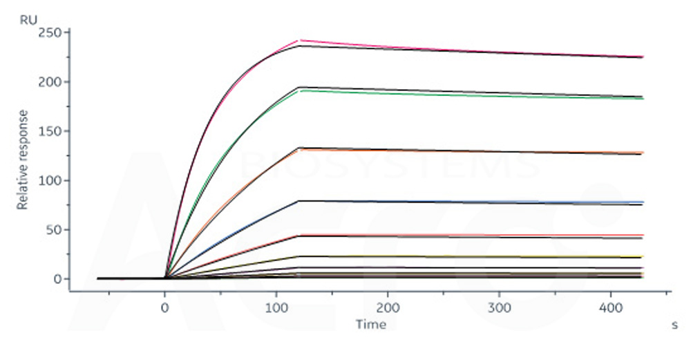  Spike protein SPR