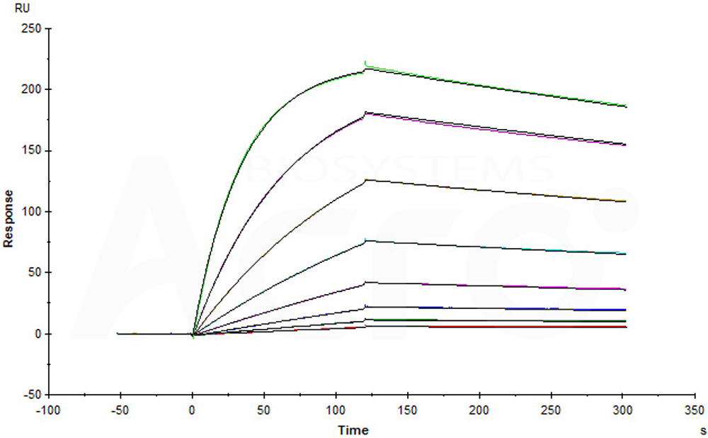  Coagulation Factor III SPR