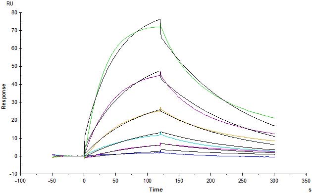  Thrombopoietin SPR