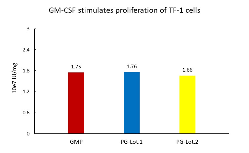  GM-CSF STABILITY