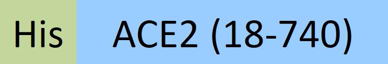 AC2-H52H8-structure