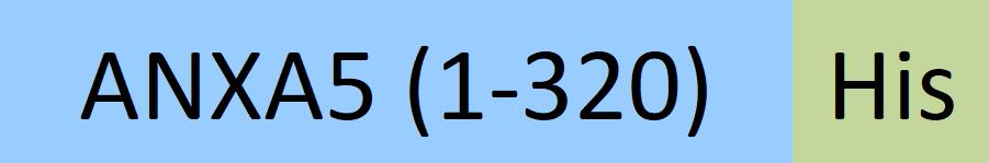 AN5-H5123-structure