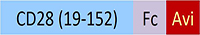 CD8-H82F2-structure