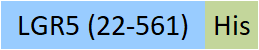 LG5-H52H3-structure