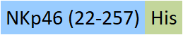 NC1-C52H4-structure