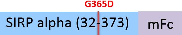 SIA-M5252-structure