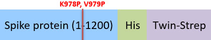 SPN-B5283-structure