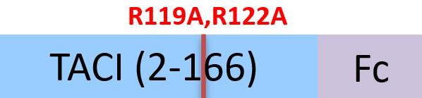 TAI-H5253-structure