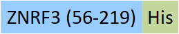 ZN3-H52H3-structure