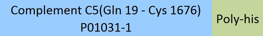 Complement C5 Structure