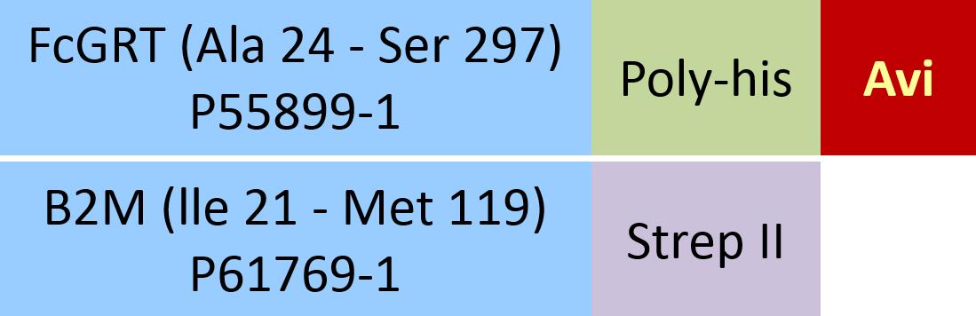 Online(Ala 24 - Ser 297 (FCGRT) & Ile 21 - Met 119 (B2M)) P55899-1 (FCGRT) & P61769-1 (B2M)