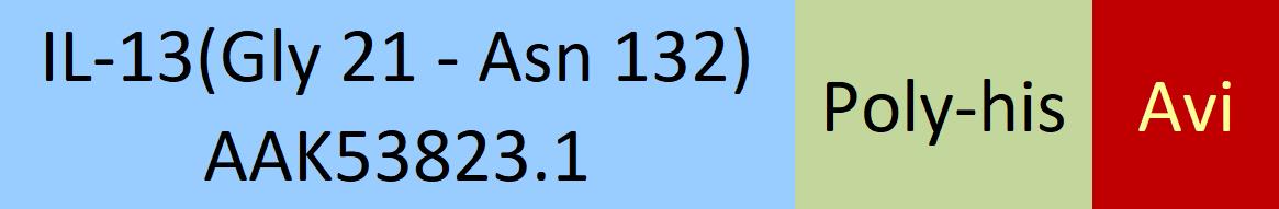 IL-13 Structure