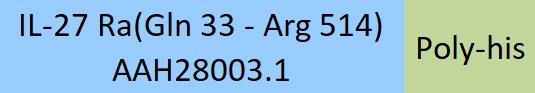 IL-27 Ra Structure