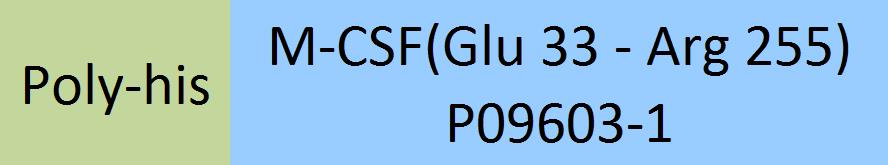 M-CSF Structure