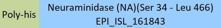 Neuraminidase/NA (Influenza Virus) Structure