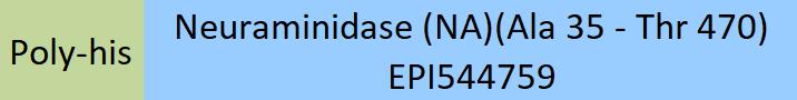 Neuraminidase/NA (Influenza Virus) Structure