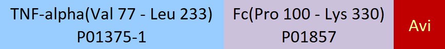 TNF-alpha Structure