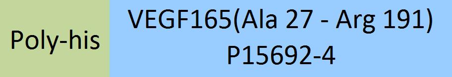 VEGF165 Structure