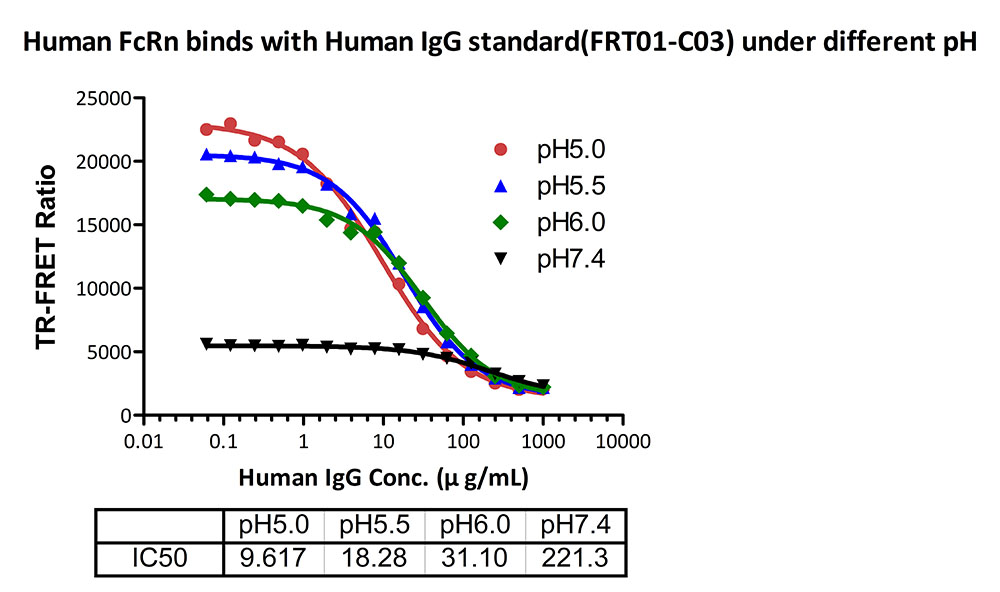  FcRn (FCGRT & B2M) TR-FRET