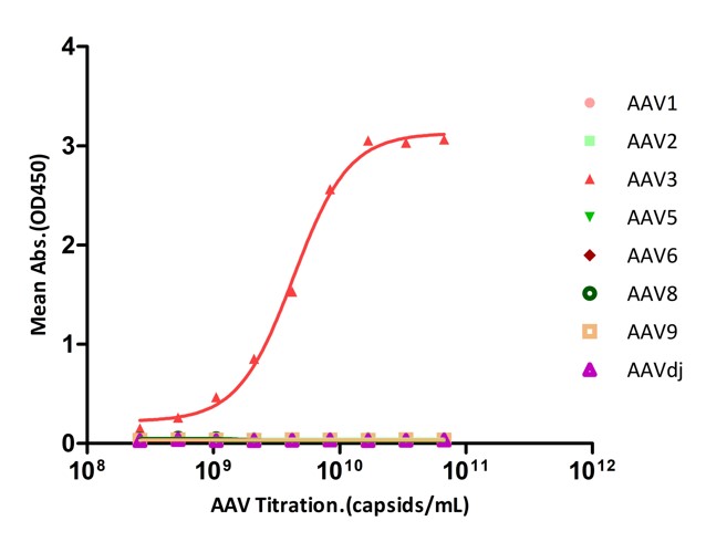  AAV3 SPECIFICITY